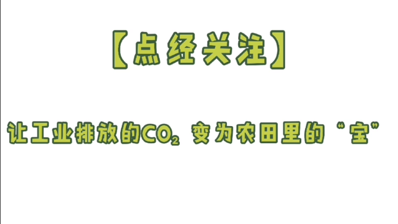 【点经关注】让工业排放的co₂变为农田里的“宝”