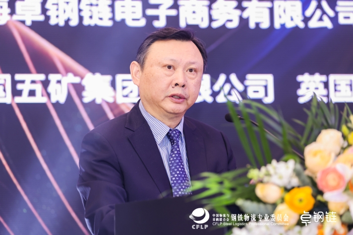 何黎明：推进钢铁产业链供应链优化升级