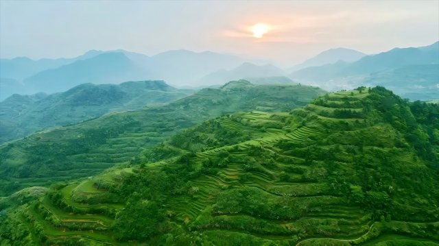 县域经济活力与韧性凸显 特色产业集群成为发展新赛道